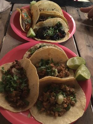 One of every taco they had — and all delicious and meat-eater-approved! at Ta'consciente in Playa Del Carmen