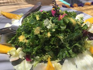 Kale salad with mango and cranberry  at Grow Café in Tarifa