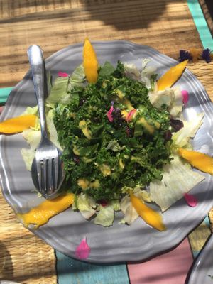 Kale salad at Grow Café in Tarifa