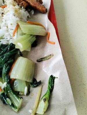 Found a caterpillar. at San De Vegetarian 三德 - Blk 747 Yishun in North Singapore