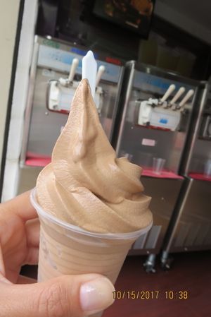 chocolate coconut ice cream at Coco Fresh in Puerto Ayora