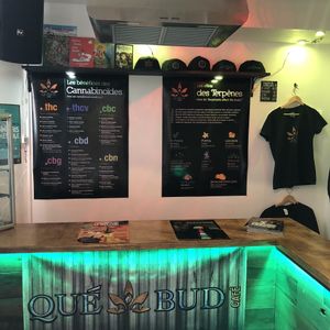 Québud at Quebud Cafe in Montreal