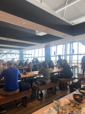 Inside   at LHR - Wagamama - T5 in West London