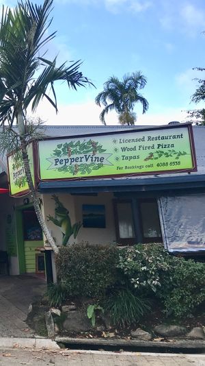 Just the best vegan pizza at PepperVine in Mission Beach