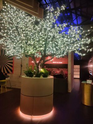 Light trees at Alibi in Sydney