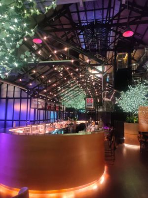 Bar at Alibi in Sydney