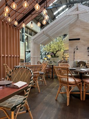 Venue  at Alibi in Sydney