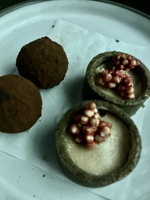 Truffles... OK  at Alibi in Sydney
