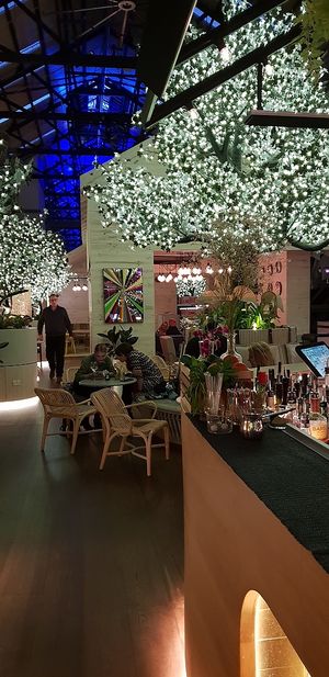 View from bar at Alibi in Sydney