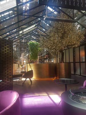 Alibi at Alibi in Sydney