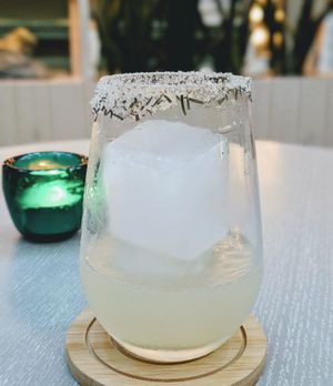 OAXACA COLLINS
BURRITO MEZCAL, FRESH JALAPENO, ROSEMARY SALT, FRESH LEMON. at Alibi in Sydney