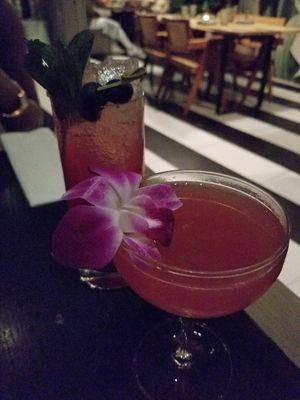   at PLANTA in Miami Beach