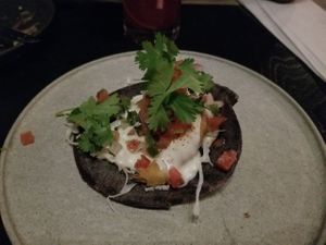   at PLANTA in Miami Beach