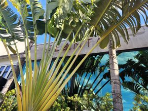  at PLANTA in Miami Beach