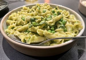   at PLANTA in Miami Beach