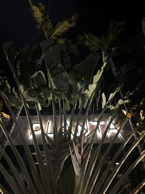   at PLANTA in Miami Beach