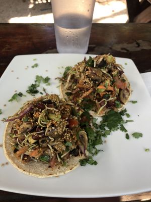 Raw Veg Tacos at Beach Dog Cafe in Nosara