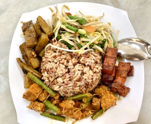 Brown rice and vegetables w mock pork at Fen Xiang Vegetarian Delights 芬香素食小厨 in Central Singapore