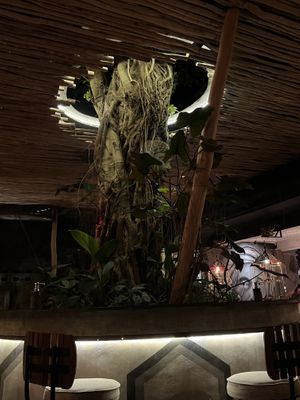   at Zest Ubud in Ubud