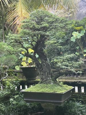   at Zest Ubud in Ubud