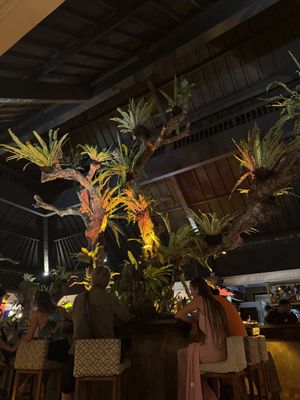   at Zest Ubud in Ubud