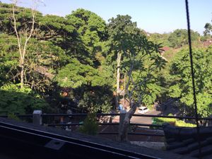 View out the picture window from the couch. at Zest Ubud in Ubud