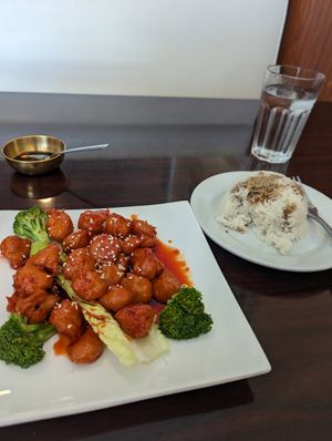 Ruby Pearls with side of white rice at Noble Vegetarian in Sacramento