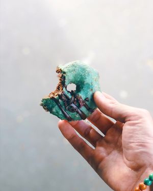 Raw donut at Acai Brothers in Port Melbourne