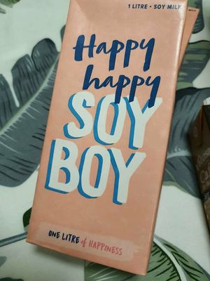 Second choice ~ Circuit Breaker Period Phase 2 at Everyday Vegan Grocer - Online only in Central Singapore