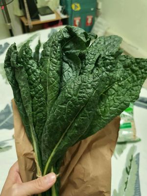 Fresh kale!!!! 💚 ~ Circuit Breaker Period Phase 2 at Everyday Vegan Grocer - Online only in Central Singapore
