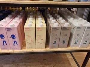 Minor figures ~ World Vegan Day 🌱 at Everyday Vegan Grocer - Online only in Central Singapore