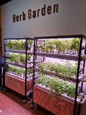 Herb Garden  ~ 7/11/21 at Everyday Vegan Grocer - Online only in Central Singapore