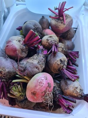 Beetroots ~ 7/11/21 at Everyday Vegan Grocer - Online only in Central Singapore