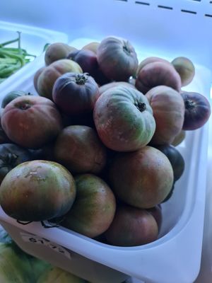 Tomato 🍅 for pasta , may eat raw,  salad,  cook in curry ~ 7/11/21 at Everyday Vegan Grocer - Online only in Central Singapore