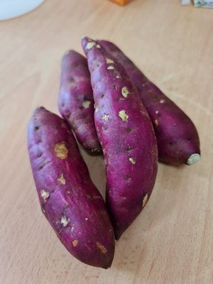 Organic Japanese Sweet Potato ~ 500g ~  $5.50 ~ 16/12/21 at Everyday Vegan Grocer - Online only in Central Singapore