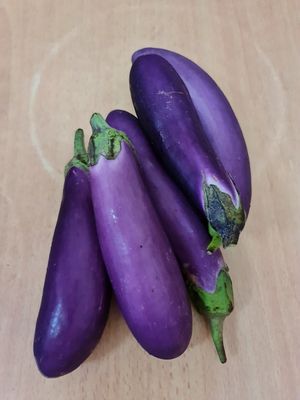 Organic Brinjal ~ 250g ~ $2.50 ~ 16/12/21 at Everyday Vegan Grocer - Online only in Central Singapore