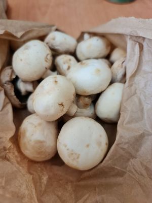 White Button Mushroom ~ 180-200g ~ $3.80 ~ 16/12/21 at Everyday Vegan Grocer - Online only in Central Singapore