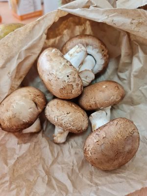 Swiss Brown Mushroom ~ 180-200g ~ $4.40 ~ 16/12/21 at Everyday Vegan Grocer - Online only in Central Singapore