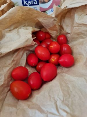 Organic Cherry Tomatoes ~ 200g ~ $3.80 ~ 16/12/21 at Everyday Vegan Grocer - Online only in Central Singapore