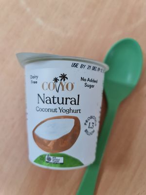 Coconut Milk Yogurt ~ reduce to clear at $4.30 ~ 16/12/21 at Everyday Vegan Grocer - Online only in Central Singapore