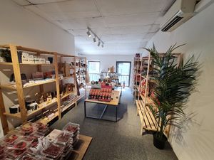 2nd floor ~ 30/7/22 at Everyday Vegan Grocer - Online only in Central Singapore