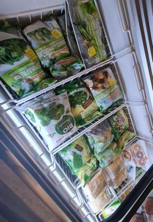 Frozen items ~ 30/7/22 at Everyday Vegan Grocer - Online only in Central Singapore