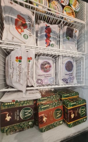 Frozen items ~ 30/7/22 at Everyday Vegan Grocer - Online only in Central Singapore