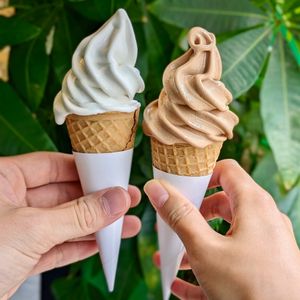 Vegan Vanilla & Chocolate Soft Serve at Everyday Vegan Grocer - Online only in Central Singapore