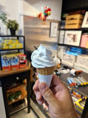 Icecream - oat milk base at Everyday Vegan Grocer - Online only in Central Singapore