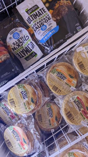 Vegan frozen goods at Everyday Vegan Grocer - Online only in Central Singapore