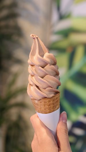 Vegan chocolate oat milk soft serve at Everyday Vegan Grocer - Online only in Central Singapore