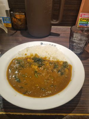 Standard size serve at CoCo Ichibanya - Tobu Asakusa Station in Tokyo