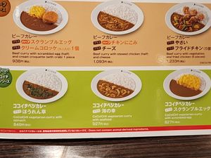 My only option is the vegetarian curry with spinach. at CoCo Ichibanya - Tobu Asakusa Station in Tokyo