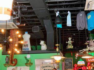 Indoor  at The Friendly Toast in Portsmouth